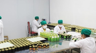 'ຂ້າມພູເຂົາ' ດ້ວຍເຕັກໂນໂລຢີ