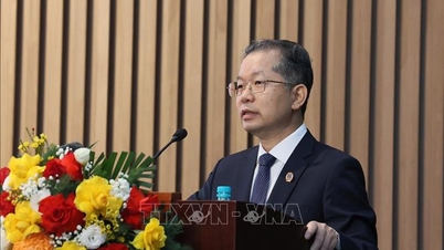 La sentencia del tribunal crea un entorno jurídico favorable para el desarrollo.