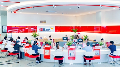 HDBank fullfører retten til å utbetale nesten 30 % i utbytte og bonusaksjer.