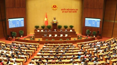 국회는 개정된 지식재산권법을 통과시켰습니다. 이에 따라 지식재산권 자산은 평가, 매매, 담보 설정이 가능해졌습니다.