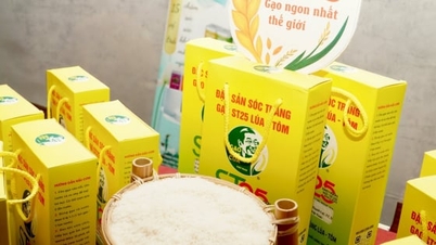 ST25-ris är det bästa i världen tack vare sina unika egenskaper.