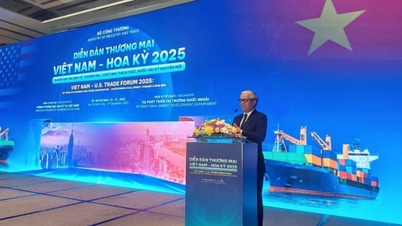 Vietnam-US Cooperation: From Growth to New Challenges