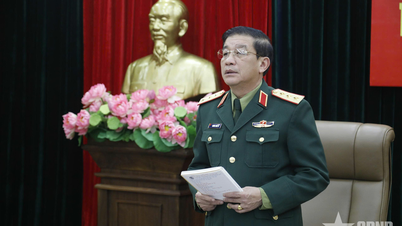 Investigación para mejorar la eficiencia operativa del Fondo para los Mares e Islas de Vietnam