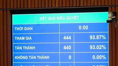 Rehabiliteringsperioden för förstagångsmissbrukare är 24 månader.