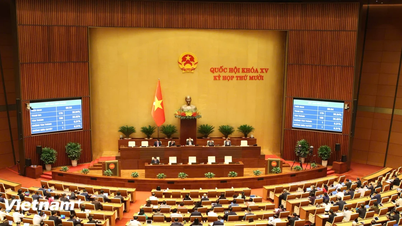 Immaterialrätt (ändrad): Immateriella tillgångar kan värderas, köpas, säljas och pantsättas.