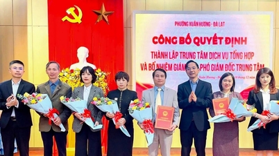 تأسیس مرکز خدمات جامع در بخش شوان هوئونگ، دا لات