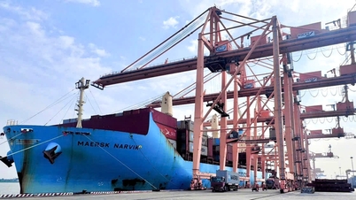 Chi nhánh Cảng Tân Vũ 5 năm liên tục đón 1 triệu TEU container