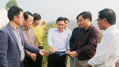 İl Halk Komitesi Başkan Yardımcısı Vu Viet Van, ildeki çeşitli projeleri inceledi.