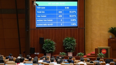 Forbedring av mekanismer for å beskytte borgernes rettigheter i forbindelse med digital transformasjon.