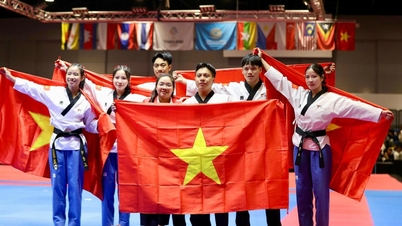 Taekwondo ​ໄດ້​ນຳ​ເອົາ​ຫຼຽນ​ຄຳ​ທີ 2 ມາ​ໃຫ້​ຄະນະ​ຜູ້​ແທນ​ກິລາ ຫວຽດນາມ.