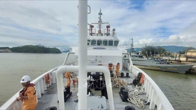 Lägger till uppgifter relaterade till genomförandet av den internationella konventionen om sjöräddning.