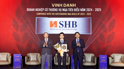 شركة SHB هي "الشركة التي أبرمت صفقة اندماج واستحواذ متميزة في الفترة 2024-2025".