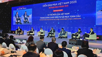 Οι συγχωνεύσεις και εξαγορές στο Βιετνάμ αλλάζουν ρόλους: Οι ξένοι επενδυτές αναζητούν αξία, οι εγχώριες επιχειρήσεις αναζητούν ορμή.