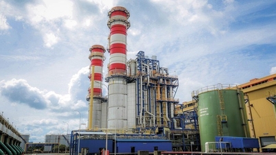 Duc Giang Chemicals (DGC) sets the record date for receiving a 30% cash dividend.