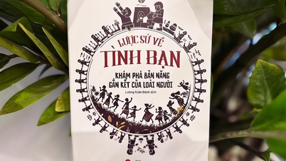 'A Brief History of Friendship': Breaking the Ice of Loneliness in the Age of Social Media