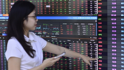 Saham runcit menunjukkan perbezaan yang ketara di tengah-tengah pengetatan perbelanjaan oleh isi rumah Vietnam.