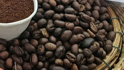 Harga kopi naik tanpa diduga, tetapi petani masih bimbang. kenapa?