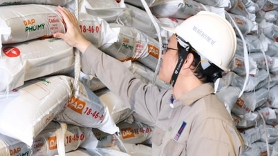 أطلقت شركة PVFCCo – فو ماي رسمياً برنامج DAP فو ماي