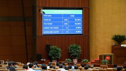 Thông qua một trong những nghị quyết quan trọng nhất của Kỳ họp: Hoàn thiện tầm nhìn phát triển đến năm 2050