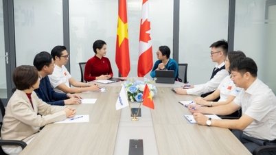 Вьетнамцы, проживающие в Канаде, разделяют энтузиазм по поводу 14-го Национального съезда Коммунистической партии Вьетнама.