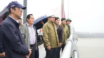 Chairman of the City People's Committee Nguyen Khac Toan surveys locations for attracting and implementing investment projects.