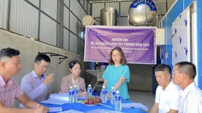 Dak Lak: Impulsionando a promoção industrial para apoiar as empresas.