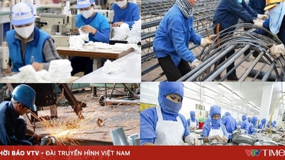 Hơn 35% việc làm Việt Nam gắn chuỗi cung ứng toàn cầu: Thách thức trong luật chơi mới