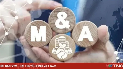 Fusionen und Übernahmen im Jahr 2025: Neue Chancen durch Restrukturierung und Nachhaltigkeitsstandards.