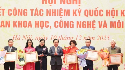 سائنس، ٹیکنالوجی اور ماحولیات کی کمیٹی 15ویں مدت کے دوران اپنے کام کا خلاصہ کرتی ہے۔