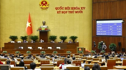 Kỳ họp thứ 10, Quốc hội khóa XV: Phát triển thị trường bảo hiểm an toàn, ổn định