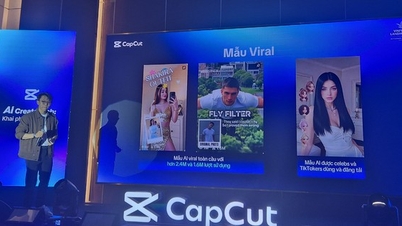 Vietnamese people create many AI models that are spreading globally.