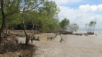 Climate Change and the “New Race”: The Power of AI and Digital Transformation in Sustainable Governance