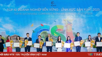 Vinamilk نے ESG میں "CSI Star" ٹائٹل اور 2025 میں باوقار ایوارڈز کی سیریز کے ساتھ کامیابیاں حاصل کیں۔