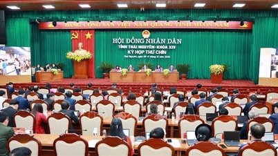 หลักการที่ว่า "การกระทำสำคัญกว่าคำพูด" ใช้ได้ในทุกการตัดสินใจที่สำคัญ