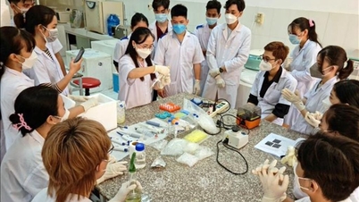 អនុម័តកម្មវិធីបណ្តុះបណ្តាលធនធានមនុស្សដែលមានគុណភាពខ្ពស់នៅក្នុងប្រទេសរុស្ស៊ី ប្រទេសចិន បណ្តាប្រទេសនៅអឺរ៉ុបខាងកើត និងបណ្តាប្រទេសអតីតសហភាពសូវៀត។