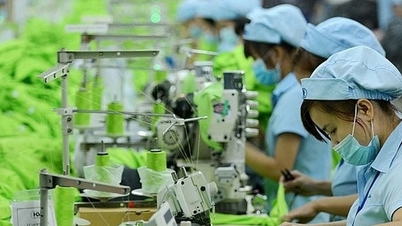 Groene transformatie: kansen en uitdagingen voor Vietnam