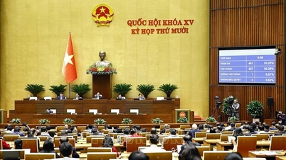 Ensuring the most favorable living and working conditions for high-tech personnel.