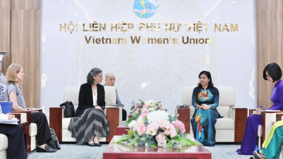 UNDP looks forward to continuing to cooperate with Vietnam to promote women's participation in leadership.