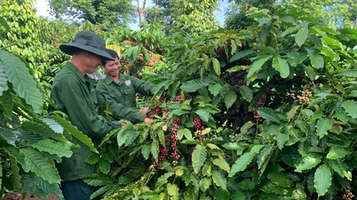 Meraikan nilai warisan pada Hari Kopi Vietnam.