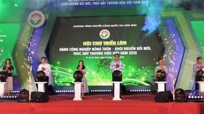 Utilizando a tecnologia de realidade virtual para introduzir produtos industriais rurais.