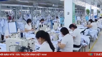 Mengatasi batasan eksport Vietnam.