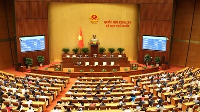 Zákon o umělé inteligenci si klade za cíl zdokonalit právní rámec pro digitální věk.