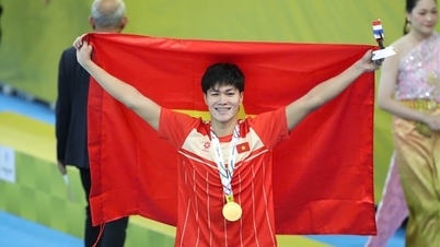 امشب "بارشی از طلا" برای ورزش ویتنام.