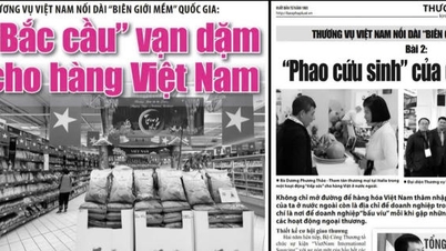 Vietnam Law Newspaper gewinnt Nationalpreis für ausländische Berichterstattung