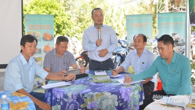 Medya kuruluşları, yüksek kaliteli ve düşük emisyonlu pirinç üretim modelini tanıtıyor.