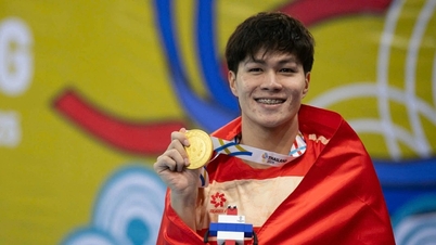 Was sagte Tran Hung Nguyen, nachdem er zum vierten Mal in Folge die Schwimmmeisterschaft der Südostasienspiele gewonnen hatte?