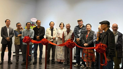 Wystawa „Krzywe” – piękno formy i dusza artysty.