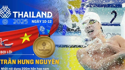 L'équipe vietnamienne de natation a remporté 5 médailles aux 33èmes Jeux d'Asie du Sud-Est.