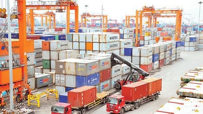 Unlocking opportunities for Vietnam-Israel cooperation: What do businesses need to prepare?