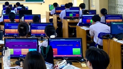 Die Provinz Ca Mau erlässt neue Bestimmungen zu den Gebühren für Fremdsprachenunterricht an öffentlichen Schulen.